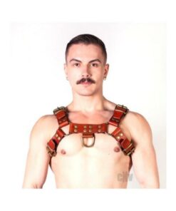 Prowler Red Butch Harness Brn/brs Sm