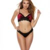 Stretch Velvet & Lace Bra & Panty Burgundy Xxl