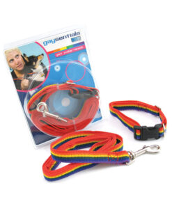 Gs Pet Combo Leash/collar (medium)