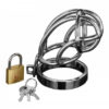 Captus Stainless Steel Locking Chastity Cage